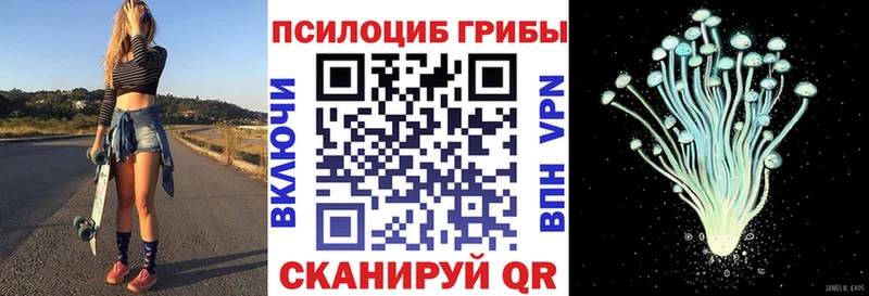 Псилоцибиновые грибы мицелий  ОМГ ОМГ ссылка  Курган 
